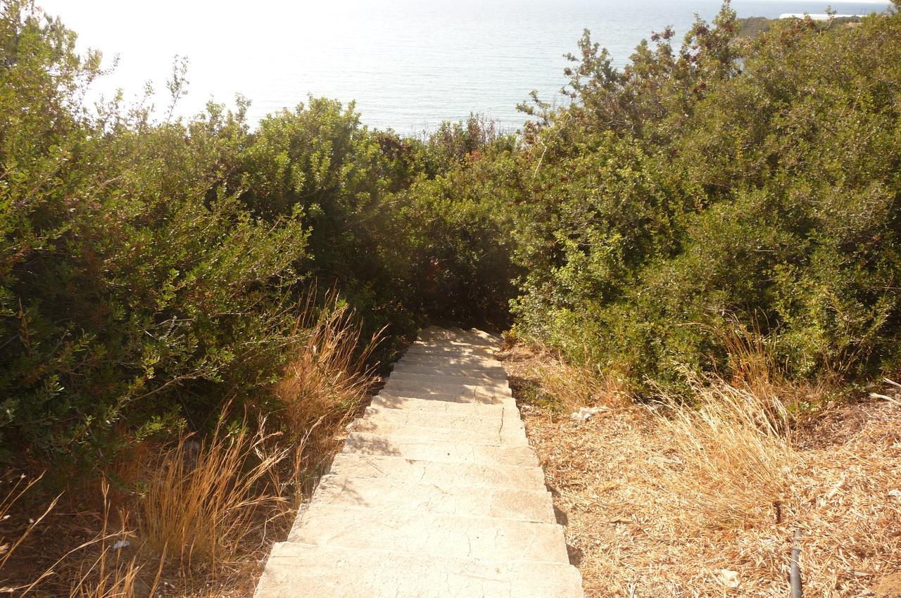 Aaron דירה